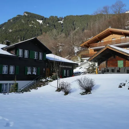 Schwendihus-6 By Interhome Apartment Grindelwald