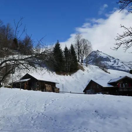 Schwendihus-6 By Interhome Apartment Grindelwald