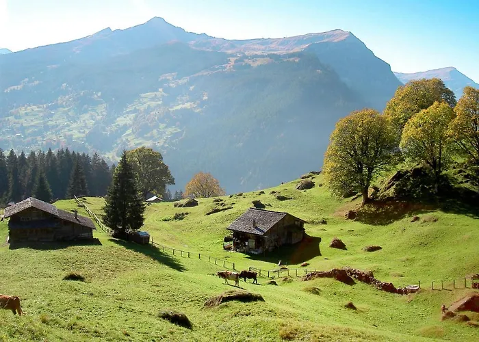 Schwendihus-6 By Interhome Апартаменти Гріндельвальд