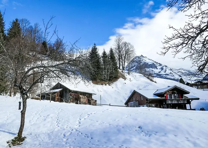 Schwendihus-6 By Interhome * Гріндельвальд